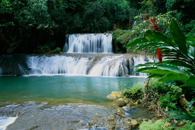 Y.S. Falls on Jamaica
